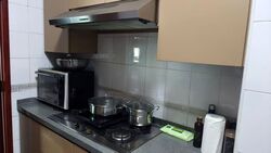 Parc Oasis (D22), Condominium #561285431